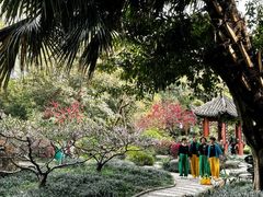 -房湖公园