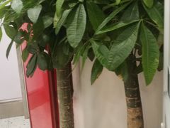 -潇湘阁(望京SOHO店)