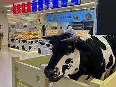 -红星前进面包牛奶公司(君太店)