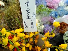 -循礼门鲜花花市(武汉循礼门店)