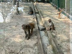 -北京鹿世界主题园