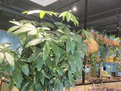 -金柱大盘鸡(波斯坦店)