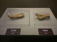 -嘉定博物馆