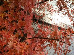 android_upload_pic-浙江三立开元名都大酒店