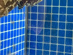 -碧海银沙海鲜餐厅(恒大海上威尼斯店)