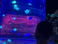 -重庆欢乐海底世界