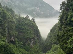 -鹿院坪生态旅游景区
