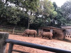 -昆明动物园