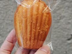 玛德琳-Infica Coffee