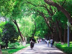 -南京金牛湖风景区