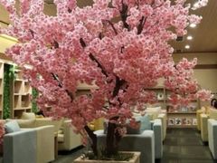 -大江户·温泉洗浴(浑南店)