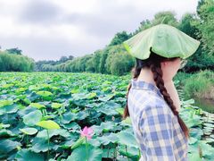 -日照海滨国家森林公园