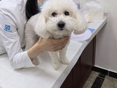 -美联众合动物医院·24h转诊中心