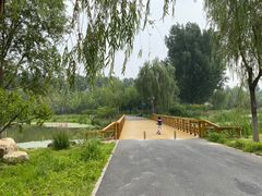 -东郊湿地公园