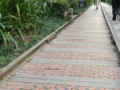 -铁路文化公园