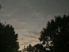 -太子山公园(园东路)