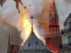 -光明牛奶棚(南泉店)