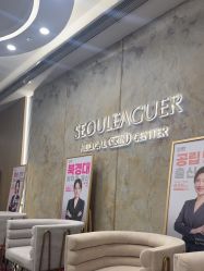 -上海首尔丽格医疗美容医院