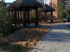 -莲花池公园