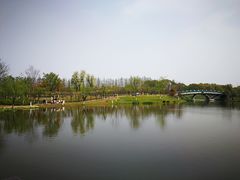 -上海长兴岛郊野公园