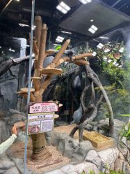 -Zoolung Zoolung动物主题公园(海信广场店)