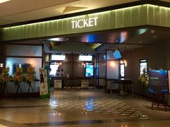 Palace&nbsp;Cinema百丽宫影城(大慈寺太古里店)-成都百丽宫影城(LUXE太古里店)