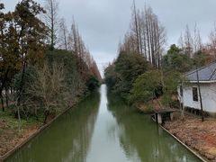 -上海长兴岛郊野公园