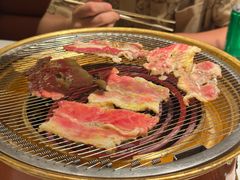 -阳光天地
