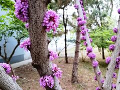 -玲珑塔公园