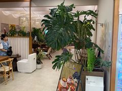 -山与蓝·轻糖鲜果蛋糕(勒泰店)