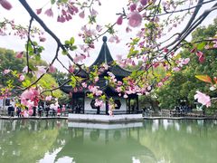 -西园戒幢律寺