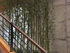 -汤森悠生活文化汤(江宁万达店)