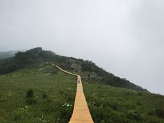 -白草畔自然风景区