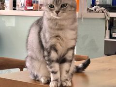 -平行世界·猫咖(首经贸店)