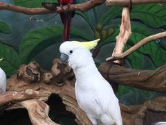 -昆明动物园