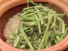啫啫通菜梗-紫金食坊(江南西路店)