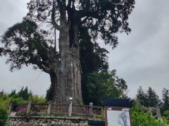 -云中大漈