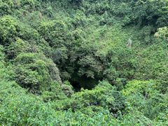 -海口火山口国家地质公园
