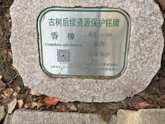 -汇龙潭