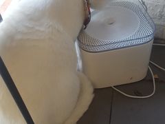 -有猫主题·治愈系猫咖(曾厝垵店)