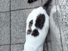-晓港公园