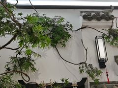 -耳艺采耳·足疗·按摩SPA(市桥店)
