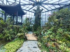 -东莞植物园