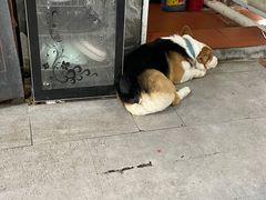 -阿尔法海鲜排档(爱琴海店)