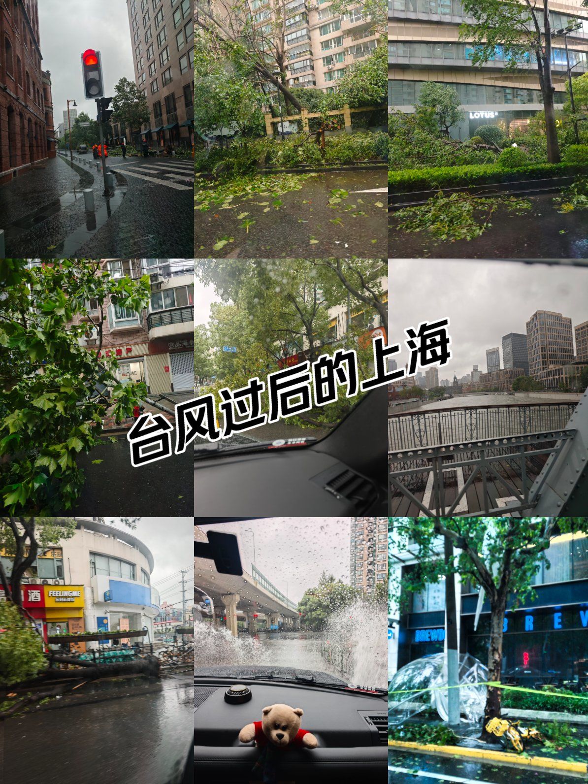  上海疫情始末最新情况视频播放(上海炒米粉事件始末视频播放)