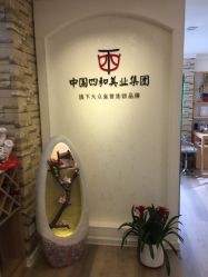 -西施无菌半永久纹绣眉眼影唇轻增发纹发际线