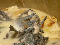 -滇小鱼·云南野生菌火锅(上杭路店)