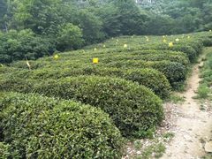 -南京金牛湖风景区