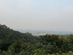 -火炉山森林公园