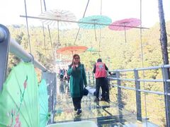 -九龙江国家森林公园